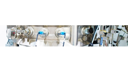 Raman probe in situ in a stainless steel bioreactor